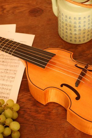 Pardessus de viole after Michel Colichon (Paris, ca. 1700)