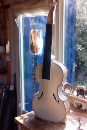 Tenor viol in G based on an Italian model