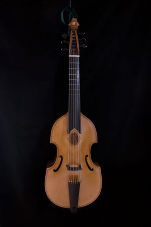 Tenor viol in G after Henry Jaye