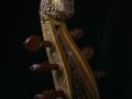 IMG 5558