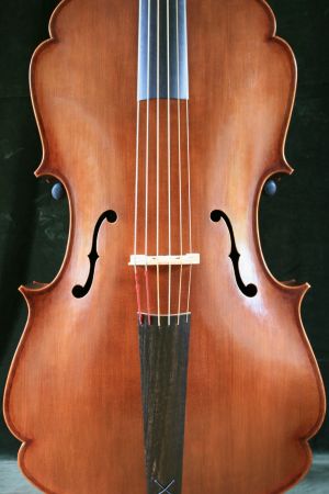 Violone